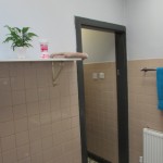 Ground Floor Toilets Interior